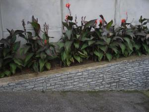 A garden outside Németh Vendégház