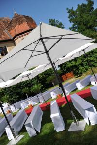 Zahrada ubytování Schloss Wiesenthau