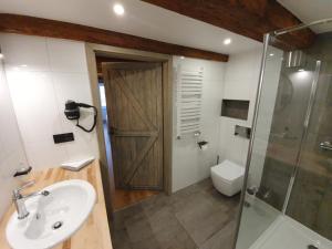 a bathroom with a sink and a shower and a toilet at Apartament na starówce Toruń in Toruń