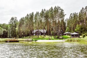 a house on an island in the middle of a lake at Vila Tauragnas in Varniškės I +94 photos