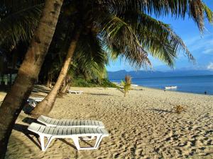 a white bench sitting on a beach with palm trees at Phaidon Beach Resort in Pandan