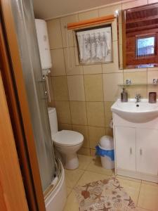 une petite salle de bain avec toilettes et lavabo dans l'établissement Domek Letniskowy w centrum Mikołajek, à Mikołajki