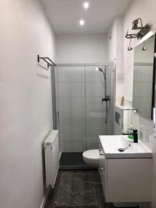 W łazience znajduje się prysznic, toaleta i umywalka. w obiekcie Apartament Matejki 7/4 w Zielonej Górze