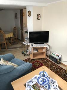 ein Wohnzimmer mit einem blauen Sofa und einem TV in der Unterkunft Ferienwohnung Wand in Bad Lauterberg