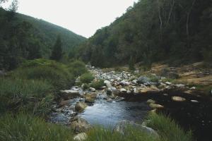 
a river filled with lots of rocks and trees at Teniqua Treetops in Karatara Settlement
