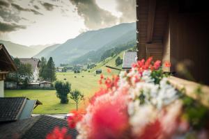 a view of a field from a window with flowers at MOUNTAIN ALPIN Hotel Sonnleiten in Cadipietra