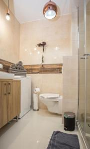 uma casa de banho com um WC e uma cabina de duche em vidro. em CR Rodzinny Apartament Chrobrego 16 em Bialystok
