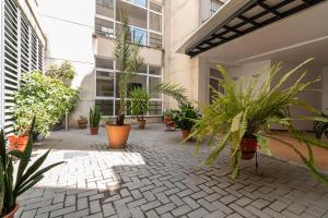 ヘレス・デ・ラ・フロンテーラにあるAllo Apartments Arroyo Centro 1 habitaciónの鉢植えの中庭