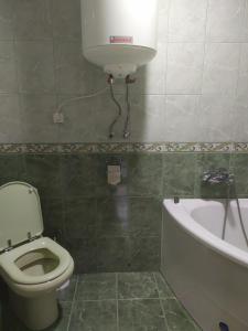 a bathroom with a toilet and a sink and a bath tub at Садиба у Богдана in Skole +19 photos