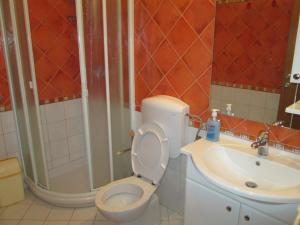 a bathroom with a shower and a toilet and a sink at Apartments Villa Fernetich in Premantura