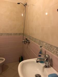 a bathroom with a sink and a shower at Dhimitri's guest house in Berat