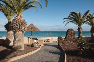a walkway to the beach with palm trees and the ocean at Sotavento Beach Club in Costa Calma