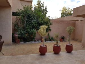 three brown vases with trees in them in a courtyard at Villa sur Golf in Marrakesh