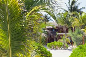 Zahrada ubytování Casa Iguana Holbox - Beachfront Hotel