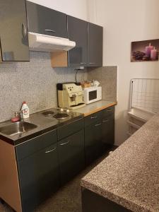 Cuina o zona de cuina de Levendulás Vendégház