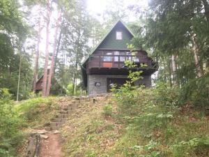 una casa en el bosque con una escalera que conduce a ella en Chata Horelka, en Kowářow
