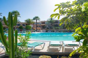 una piscina con 2 tumbonas y un cactus en La Primera Duna - Residencial Las Dunas en Corralejo