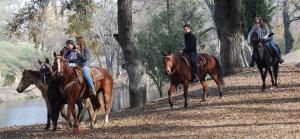 un grupo de personas montando caballos por un río en Z Ranch, en Templeton