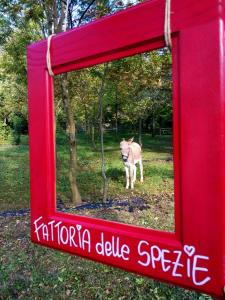 Kép Agriturismo Le Spezie szállásáról Coneglianóban a galériában