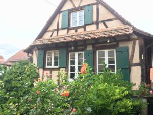 a house with green and white windows and flowers at Gîte Les Chotzi's in Maennolsheim