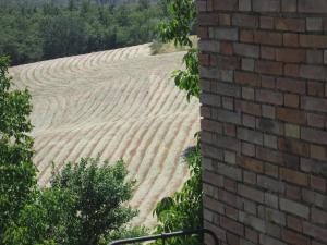 duże pole upraw z ceglanym budynkiem w obiekcie Agriturismo Santa Maria w mieście Torrita di Siena