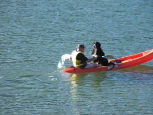 a man and a dog on a kayak in the water at Hopewell Lodge in Kenepuru Sounds