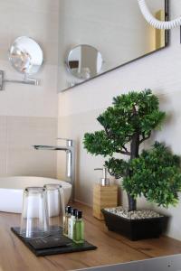Fotografie z fotogalerie ubytování Baobab Suites v Siofoku