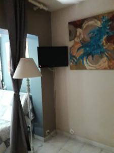 1 dormitorio con 1 cama y TV en la pared en Jardin et bambous, studio cosy, classé 2 étoiles, en Marseillan