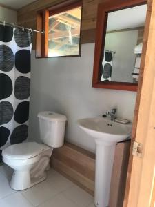 a bathroom with a toilet and a sink and a mirror at Cabaña Lago Largo in Coihaique