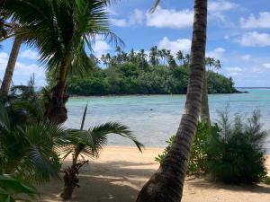 a beach with palm trees and the ocean at Taakoka Muri Beach Villa in Rarotonga
