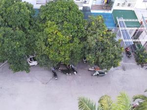 widok na grupę ludzi siedzących pod drzewami w obiekcie DORADO HOTEL w mieście Nha Trang