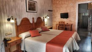 a bedroom with a large bed and a television at Sorrosal in Broto