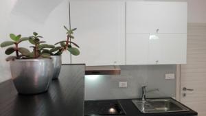 uma cozinha com dois vasos de plantas e um lavatório em APARTMAJI V IZOLI BABIČ, Simonov zaliv em Izola