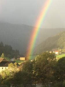Príroda v okolí apartmánu