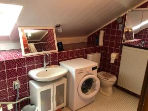 a bathroom with a washing machine and a sink at Natürlicher Holzkomfort im hessischen Kegelspiel in Hünfeld