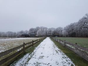 un camino cubierto de nieve en un campo con una valla en Casaprisco, en Putten