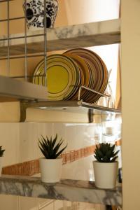 a shelf with plates and potted plants on it at La Casa di Enea in Pistoia