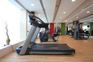 Fitness centrum a/nebo fitness zařízení v ubytování Radisson Udaipur