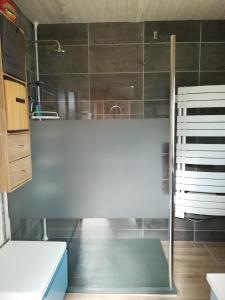 bagno con doccia e porta in vetro di Les Agapanthes a Huisnes-sur-Mer