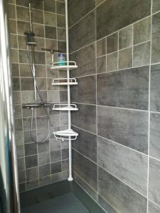 bagno con doccia e ripiano doccia di Les Agapanthes a Huisnes-sur-Mer