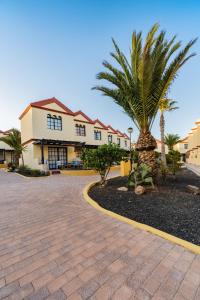 a palm tree in front of a building at Casa Hugo in Costa Calma
