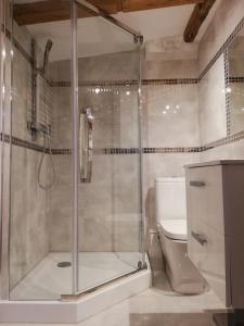 a bathroom with a shower and a toilet at Apartament Tower in Bydgoszcz