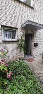 Zahrada ubytování Ferienwohnung am Brasselsberg