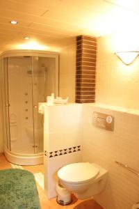 a bathroom with a white toilet and a shower at Casa Susanne in Berlin