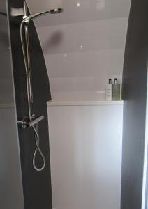a shower in a bathroom with a white wall at Harlosh Hideaways - Stargazer Pod in Harlosh +32 photos