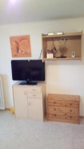 オーバーティリアッハにあるJanserhofのリビングルーム(テレビ、木製キャビネット付)