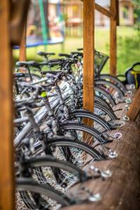 Jazda na bicykli v okolí ubytovania Bliżej Natury
