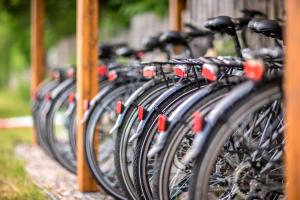 Jazda na bicykli v okolí ubytovania Bliżej Natury