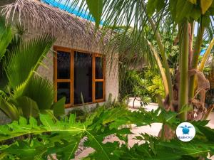 Gallery image of Blue World Dharavandhoo in Dharavandhoo