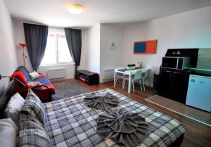 Kuchyň nebo kuchyňský kout v ubytování Apartman u kompleksu Royal Towers